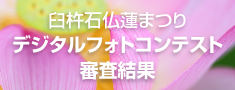 臼杵石仏蓮まつりデジタルフォトコンテスト