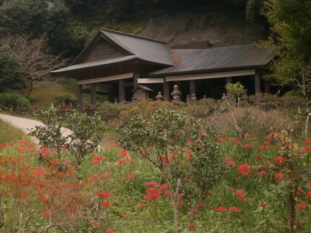 彼岸花