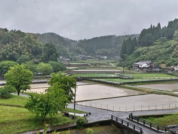 古園石仏から蓮畑（右奥）を眺める