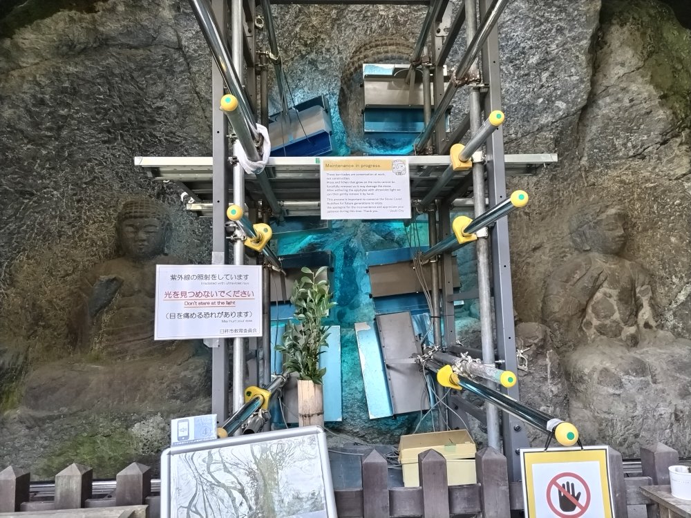 紫外線照射中の山王山