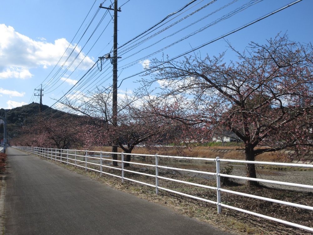 粟手原に近い方